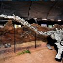 2025경남고성공룡세계엑스포 이미지