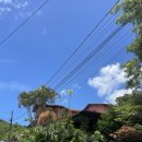 (주)삼광개발제주오리엔탈호텔 | [브라질 플로리아노폴리스 여행]브라질 남부 대표 휴양지 플로리아노 폴리스에서 벌어진 일들...