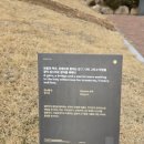 보물과역사,운명으로 이미지