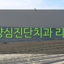늘푸른서울치과의원 이미지