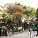 와룡공원 티스토리