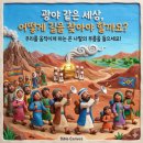 약속의땅