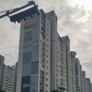 대구성당초등학교 네이버블로그