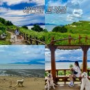 미단씨티2호공원 화장실 네이버블로그