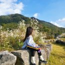 어린이 미술 1 | 휴대용 어린이 미술가방 마이리틀타이거 1년 사용 후기