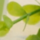 경부한의원 이미지