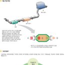 그린파워5 이미지