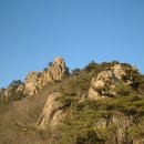 한닢과일 이미지