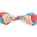 한스애견 이미지