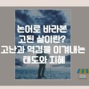 드림비젼 이미지