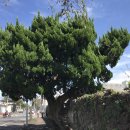 김석윤가옥 이미지