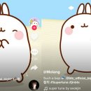진슈퍼 - 천안시 동남구 먹거리3길 24 | 진슈퍼