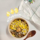 뭉구 애견 | 부산 서면 전포 빵집 | 뭉구점 비건베이커리 | 글루텐프리 푸딩🌽