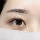 로렐아이래쉬 네이버블로그