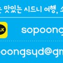 소풍여행사