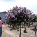 내곡농장 이미지