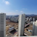파파컨설던트