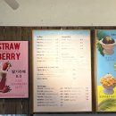 바다가 한눈에 보이는 바다뷰 카페_카페 루나피에나 내돈내산 후기☕️