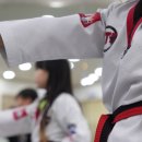 고려태권도교육관 | 전하동 유치부 태권도의 아이들이 건강하게 성장하도록