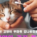 김냐옹 미용실 이미지