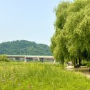 강매동 석교 이미지