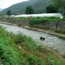 진중2리 이미지