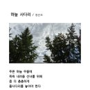 하늘 사다리 이미지