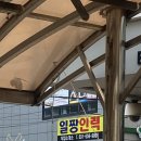 일짱인력