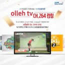 올레 골프존 이미지