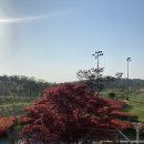 파나시아골프클럽 이미지