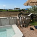 소금새 | 서귀포 대정 숙소 자쿠지가 있는 독채펜션 소금새 후기