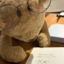 테크노게임파크 | 정선 파크로쉬 | 임산부 태교여행 2박3일 후기(프로그램, 조식, 카페, 가리왕산 케이블카, 록시땅스파)