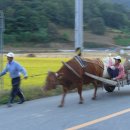 장성마을 이미지