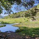 학소대(인각사 앞) 이미지