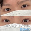 보고보고안경원 | 동탄 산척동 속눈썹펌 인생샵 | 오아시스 후기