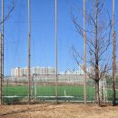 게이트볼장 맞은편 이미지