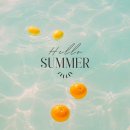 삼룡초등학교 이미지