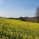 남선 농장 이미지