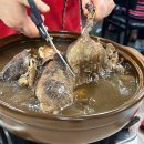 장수오골계 | [전주 평화동 맛집]장수보양촌. 어른들의 숨겨진 찐 보양식 맛집 내돈내산 후기