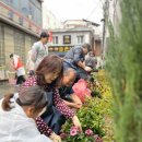 장안문거북시장 이미지