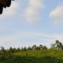 영화마을 이미지