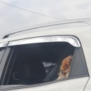 내리해물 네이버블로그