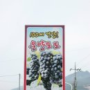 곰내미영농조합법인 이미지