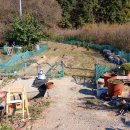 석종농장 이미지