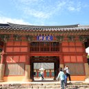 고창 선운사 만세루, 윤대녕 &#39;상춘곡&#39;에서 관계의 집착과 상처를 어루만져주는 꽃