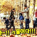 나누미3