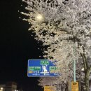 에이바우트커피아라스위첸점 네이버블로그