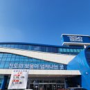 진도군수협로컬푸드센터 | 진도 새로오픈한 진도수협마트 진도어섬 로컬푸드마켓 방문후기