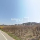 new탑공인중개사사무소 이미지