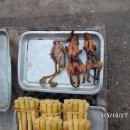 거시기머리